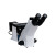 MS600三目倒置金相显微镜光学放大50-1000倍 热处理评级 厚度测量 显微镜主机