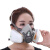 尚琛6200防毒面具防毒口罩喷漆专用气体防尘化工农药煤矿活性炭面罩 6200主体(不含配件)一只