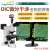 微测（sangnond）4k高清专业光学金相显微镜电子3230DIC-60R4K不含屏带测量拍照 微分干涉
