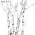 旭杉斯白桦树装饰白桦树干白桦木树段圆木棍白树枝树杈树桩橱窗美陈软装 细树枝1.5米直径1-3厘米 干树枝