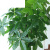 仿真发财树盆栽室内客厅落地装饰绿植假树树塑料树 1.5m辫子发财 1.4m 长辫子发财树