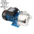 广东凌霄泵BJZ037-B/075/100/150射流不锈钢自吸泵家用自来水增压 BJZ75T 380V钢叶/非自动