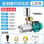 螺杆泵自吸泵全自动自来水增压泵抽水机水井无塔供水农用220V 荧光色