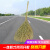 竹扫把大扫把大号老式马路扫帚庭院户外工厂车间专用土笤帚小扫把 【中扫把】户外庭院扫精品1.5米省力不弯腰(应季