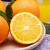 栗品优四川橙子 新鲜当季水果果冻橙产地直发皮薄多汁 5斤中果