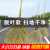 竹扫把大扫把大号老式马路扫帚庭院户外工厂车间专用土笤帚小扫把 【中扫把】户外庭院扫精品1.5米省力不弯腰(应季