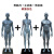 人体骨骼模型 男女一组 雕塑艺用人体肌肉骨骼解剖模型美术医 全套三个树脂灰色升级版