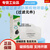 3701cn过滤棉3200防尘面具kn95防毒面罩口罩防尘防工业粉尘过滤棉 10片八层-特厚
