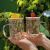 奶茶杯可循环创意新款高硼硅透明玻璃杯可爱水果高颜值家用果汁杯吸管杯大容量 草莓 杯+陶瓷盖+吸管+刷+礼盒