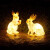 花园别墅卡通兔子草坪灯小区庭院灯户外创意LED简约现代户外景观灯草地灯防水 兔宝宝B-接电