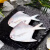 三都港 东海白鲳鱼速冻锁鲜 白麟生鲜海鲜新鲜冷冻水产鱼类食材小海鱼 白鲳鱼450g(内含2~3条)