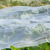 谋福 防虫网 加厚农用蔬菜大棚果树网罩温室大棚(60目普通1米宽*100米长)