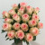 誉满园（yumanyuan）蔷薇花种子四季种子种植耐寒循环开花易活盆栽花卉种孑 粉色玫瑰花种子100粒+肥料