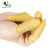 大杨177乳胶手指套 约800只 米黄色均码 加厚耐磨防滑无尘粉笔字一次性防护指套 定制