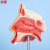 优模 YOMO/0436 人体医学鼻腔模型 解剖耳鼻喉呼吸模型 人体脸部解剖模型教学教具联保卫生	