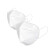 聚远（JUYUAN）亚硕 KN95口罩 双层熔喷布防雾霾飞沫粉尘 1只价 100只起售
