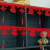 日美新春节装饰2024新年福字拉花室内贴福过年装饰用品店铺场景氛围布置 新年快乐贴条（5条）