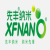 XFNANO 氨基中空介孔二氧化硅溶液（球状）XFF29-4 103850；5ml