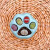 生石花陶瓷猫爪盆多肉创意植物可爱北欧个性室内装饰组合新手套餐 蓝色陶瓷猫爪盆+5颗1.2-1.5cm+土铺面 含盆