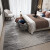 绅士狗 意式极简轻奢灰色地毯客厅降噪 现代简约茶几毯 卧室满铺床边毯 尼格罗 2.4米*3.4米 重约33斤
