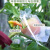 铸固 防鸟防虫纱网  可收缩透光水果蔬菜专用套袋网 保护袋 30x40cm/30个
