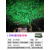 led七彩投光灯户外防水照树灯射树灯室外庭院绿化灯园林景观射灯 「散光版」50W 绿色 面积50㎡ 适用4米以下