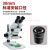 VEINLAN金相体视显微镜目镜配件广角10倍接口直径30mm WF10X/20（单只）