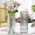 泰西丝欧式简约玻璃花瓶透明圆柱水培花卉富贵竹插花瓶摆件 XZ1025竖条纹草绿色未切口描金
