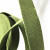希万辉 帆布背包织带打包带马扎带捆绑带 军绿色2cm*50m/盘-厚度2mm