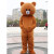 芷尧网红熊人偶服装成人熊本熊卡通玩偶服抖音熊传单布朗熊行走套装（ 定制可妮兔表情2夏天款 155-165 身高