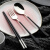 南暖德国进口品质筷子勺子套装 小学生叉子单人 儿童便携式收纳盒一人 粉色筷子+304原色勺子+盒子
