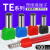管型预绝缘端子TE双线欧式针型管状冷压接线端针形压线铜管100只 TE10-14100只