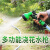 卫洋WYS-835 四分清洁水管 物业园林绿化浇花灌溉水管软管 10米