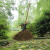 竹扫把 竹扫把农村老式竹丝扫帚笤帚户外庭院环卫通用大扫把扫院子JYH 皮扎竹丝扫帚1.4 长1.4米宽60厘米
