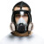 锐麻 防尘面具全面罩工业粉尘煤矿防护口罩装修工地防尘面罩全脸防护 7800防尘面具套装 