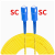 鸿谱 单模单芯尾纤 SC-SC 3米/根