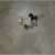 ZSTO强化复合地板12mm工程木地板家装工装封蜡锁扣地暖地板 1201 平米