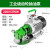 自吸不锈钢抽油泵齿轮高粘度机油柴油食用油液压油 工业级370W(220V)