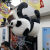 旋瓦辛德广州长隆纪念品熊猫啪啪拍拍圈抱手腕胳膊毛绒玩具手环公 大号抱手