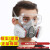 LISM防毒面具全面罩化工甲醛喷漆呼吸防护罩全脸防尘面罩打农 双罐防尘毒7件套
