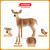 思乐（Schleich S）仿真动物模型 母长颈鹿小长颈鹿白尾鹿剑羚非洲草原动物儿童玩具 白尾母鹿玩具14819