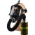 KELLAN 防毒面具 全面罩橡胶自吸过滤通用防气核污染化工防护面具套装 MF14型 防毒面具+P-B-2 均码
