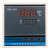 XMA-600型恒温干燥箱温控器 烘箱培养箱仪表数显调节仪 余姚亚泰定制 0-300度仪表【带传感器】