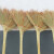 慧家务（Huijiawu）高粱苗小扫把 手工编织老式一体款传统庭院扫帚 HJ01 金丝苗扫把 1个装