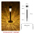 动真格（DongZhenGe）太阳能户外草坪灯别墅装饰公园景区防水插地灯民宿灯AA 暖光版1只装(装饰灯) 太阳能装饰灯