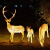博雷奇LED大型动物景观灯发光梅花鹿草坪灯公园广场园林景观灯户外亮化 坐地小鹿