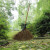竹扫帚庭院老式竹丝院子笤帚扫把农村环卫通用大扫帚扫户外 防腐布扎竹丝 长1.5米宽60厘米