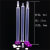 化科亲和层析空柱 蛋白纯化重力柱 AC空柱 6ml长体柱 萃取空柱 AC-1mL套装,3套 