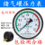 定制杭州富阳华科储气罐压力表轴向气压表YZ空压机-.MPA压力表 Y100Z轴向背接 0-6mpa