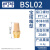 气动电磁阀铜消声器平头节流消音器BESL/BSL M5-01-02-03-4 BSL-022分牙宝塔头消声器